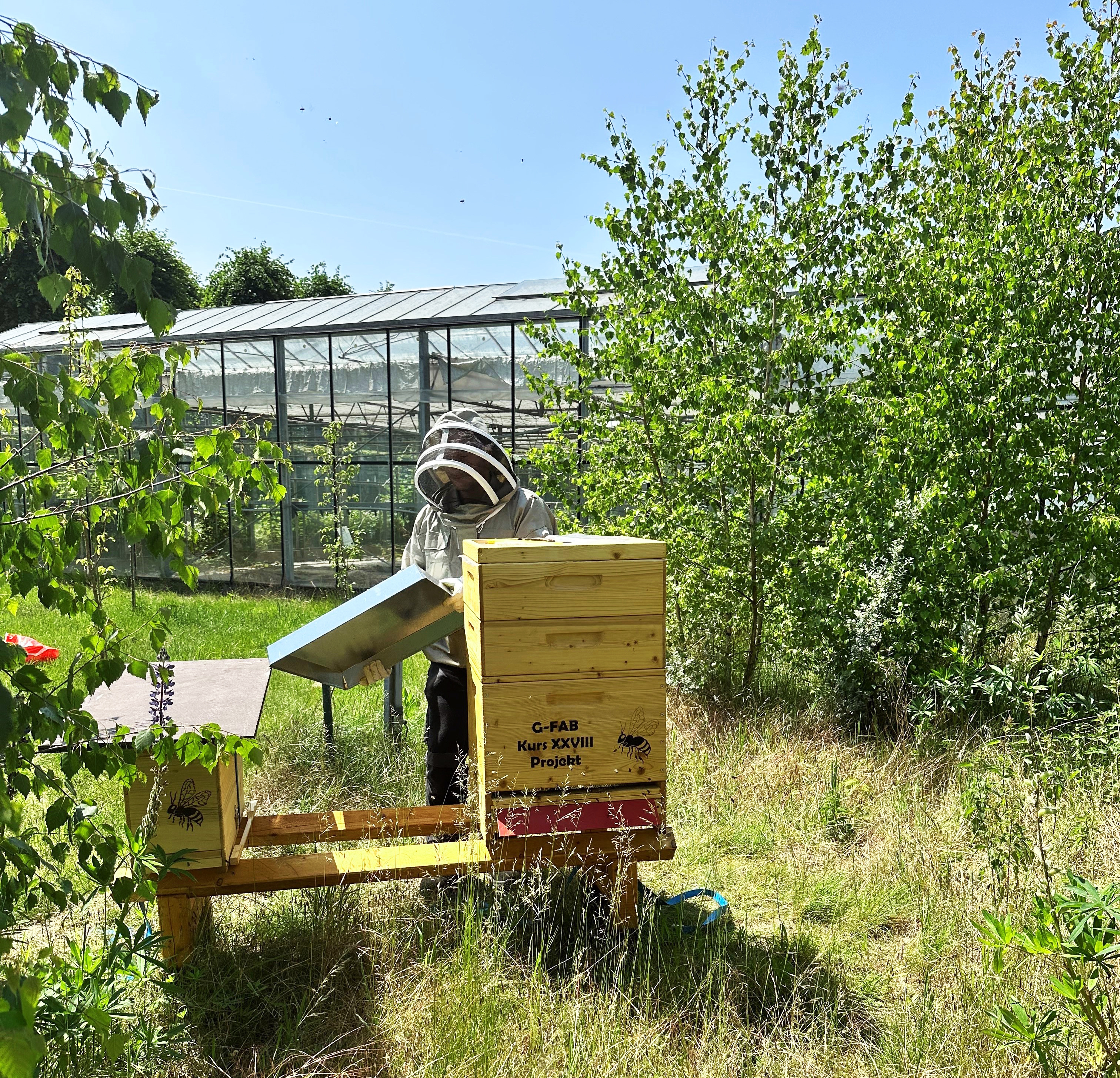 Das Bild zeigt die Bienenbeute.