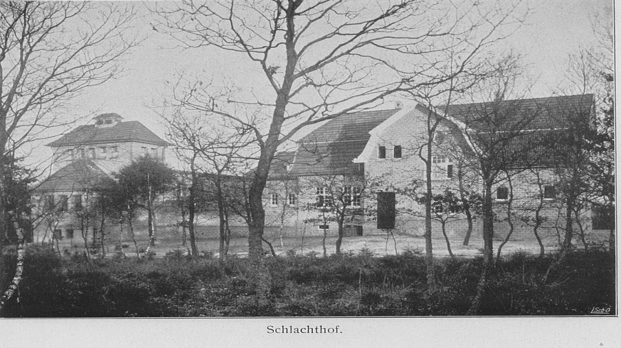 Schwarz-Weiß-Foto: mehrere Häuser mit Bäumen im Vordergrund